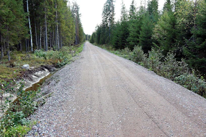 Koneyrittäjien metsänparannuspäivillä tutustuttiin Parkanoon valmistuneeseen koetiehen, jonka kantava kerros on tehty tuhkakerroksella. Lähtökohtana oli yksi hankalimmista maapohjista, eli erittäin vaikeasti asettuva silttisavipohja. Tien kulutuskerros on tehty perinteiseen tapaan soramurskeesta.