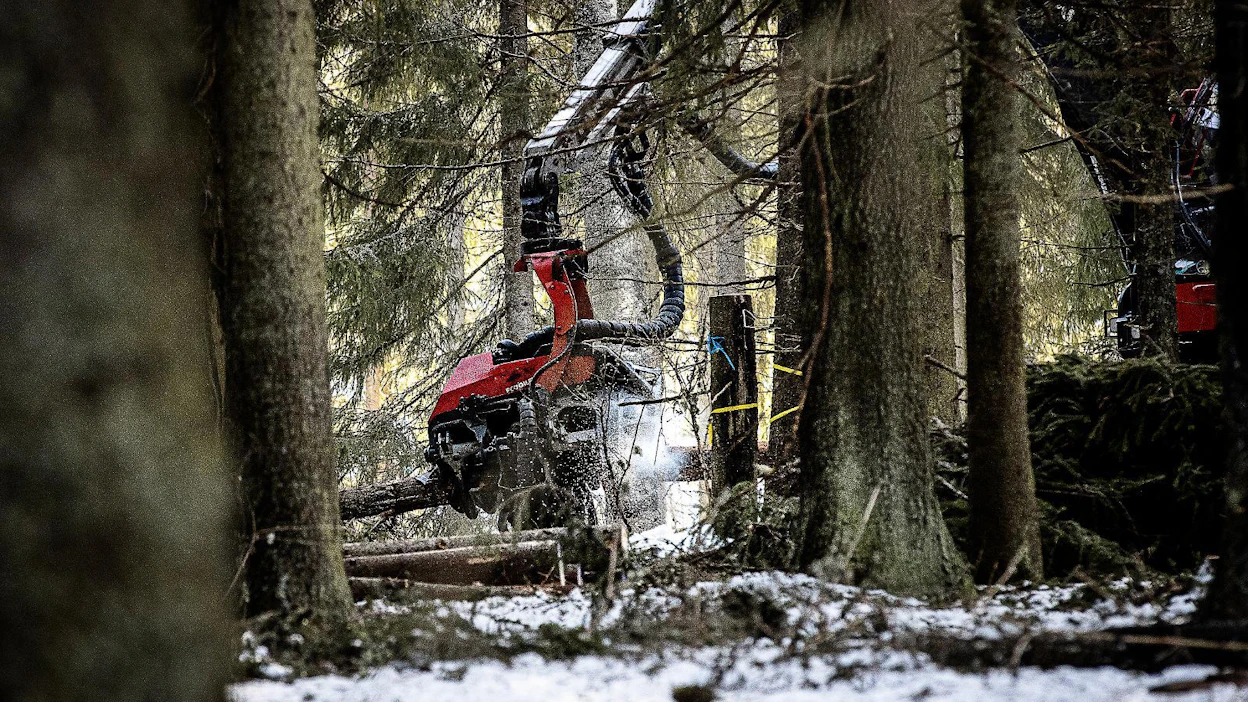Metsäteollisuuden mukaan metsien käytön rajoittaminen lisää painetta fossiilisten raaka-aineiden käyttöön.