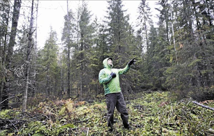 Huonosti valittujen kohteiden ja epäonnistuneiden hakkuiden jäljiltä nähdään väistämättä huonokuntoisia eri-ikäisrakenteisia metsiköitä. Metsäntutkimuslaitoksen tutkija Sauli Valkonen rohkaisee kuitenkin kokeilemaan jatkuvaa kasvatusta. Kari Salonen
