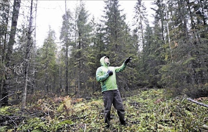 Huonosti valittujen kohteiden ja epäonnistuneiden hakkuiden jäljiltä nähdään väistämättä huonokuntoisia eri-ikäisrakenteisia metsiköitä. Metsäntutkimuslaitoksen tutkija Sauli Valkonen rohkaisee kuitenkin kokeilemaan jatkuvaa kasvatusta. Kari Salonen
