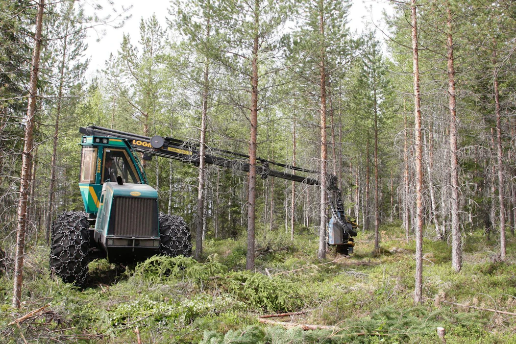 Metsien ja peltojen kestävä käyttö on ilmastoteko, kirjoittaa Kati Partanen kolumnissaan.