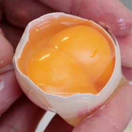 Kananmunan keltuaisen ja valkuaisen erotteleminen voi olla haastava.