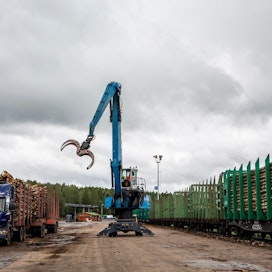 Koivukuitupuun osuus Suomeen tulleesta venäläisestä puuraaka-aineesta oli viime vuonna 47 prosenttia eli 4,1 miljoonaa kuutiometriä. Arkistokuva on Stora Enson Imatran tehtailta, minne puuta tulee Venäjältä rautateitse.