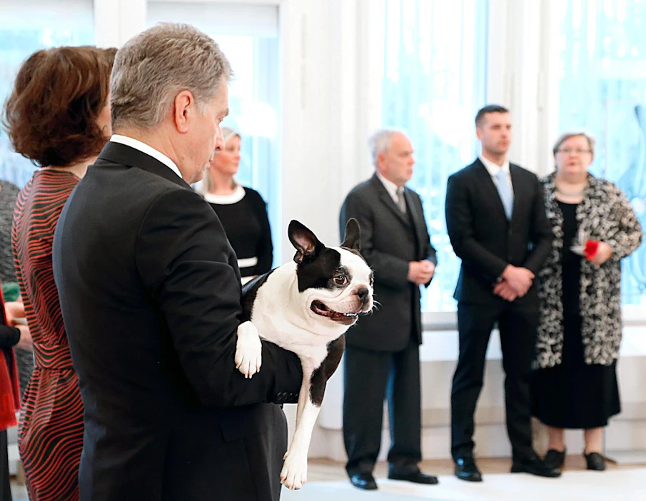 Bostoninterrieri Lennu siirrettiin sivuun julkisuudesta. Ulkomuotojalostuksen seurauksena rodulla on perinnöllinen alttius hengitysteiden ongelmiin. Lennu vastaanotti presidenttiparin kanssa perinteisiä joulutervehdyksiä vuonna 2016.