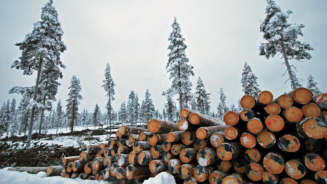 Savukoskella on paljon valtion metsätalous- ja suojelualueita. Kunta toivoo että yhteisöveron metsäerä jaettaisiin kunnille nykyistä yksinkertaisemmin ja oikeudenmukaisemmin.