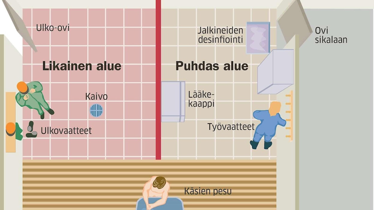 Esimerkki tautisulusta. Tuotantorakennuksen sisälle pitäisi mennä aina tautisulun kautta ja vaihtaa vaatteet ja jalkineet, joita käytetään vain rakennuksen sisällä. Tilalla vierailijoille kannattaa tarjota suojavarusteet talon puolesta.