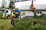 Pihapuu voi olla vaurioituneena vaaraksi rakennuksille.