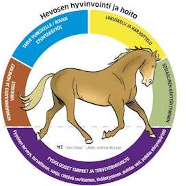 Tohtori Andrew McLeanin mukaan hevosen henkisen hyvinvoinnin tyydyttäminen on vähintään yhtä tärkeää kuin sen fysiologisisten tarpeiden.