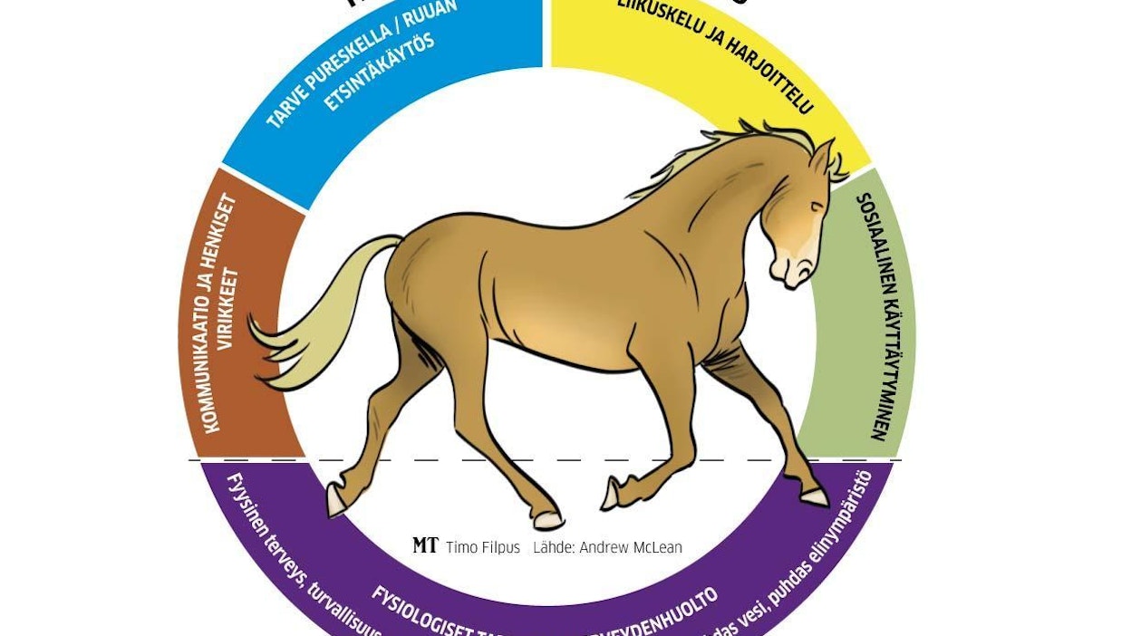 Tohtori Andrew McLeanin mukaan hevosen henkisen hyvinvoinnin tyydyttäminen on vähintään yhtä tärkeää kuin sen fysiologisisten tarpeiden.