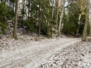 Metsätie vaatii säännöllistä hoitoa pysyäkseen kunnossa.