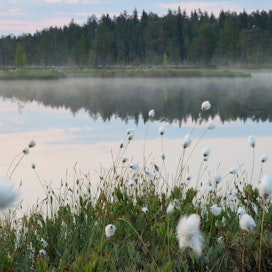 Piurukkanevan eteläosassa sijaitseva Piurukkajärvi on paikallisten suosima pilkki- ja virkistyskohde.