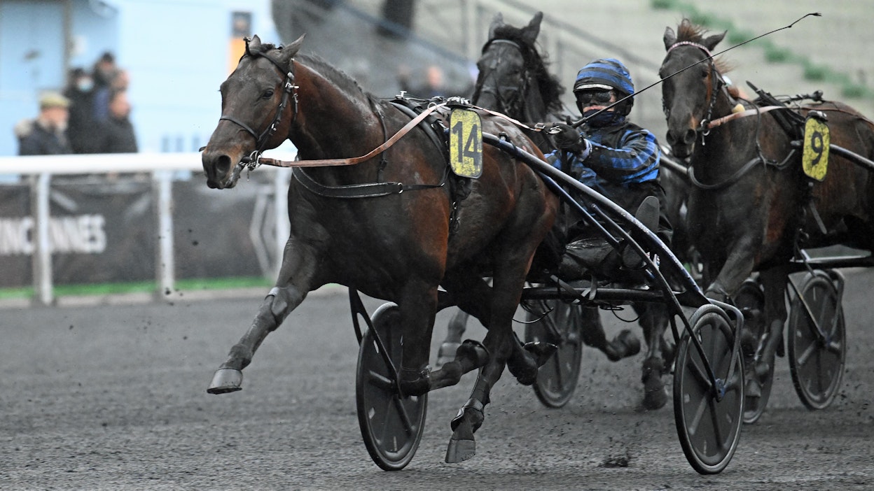 Idao De Tillard on Vincennesin talvimeetingin voitokkain hevonen 2022-23. Thierry Duvaldestinin valmennettava voittaa kuvassa tammikuun Prix de Belgiquen ja hakee uutta onnistumista lauantain päätöspäivältä.