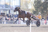 Alessandro Gocciadoron Denver Gio vei kovalla loppukirillä Glenn Kosmos Memorialin. 