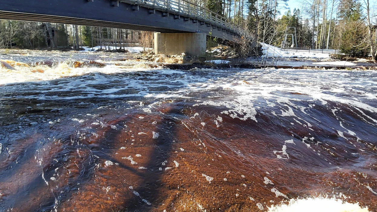 Virtaamat olivat perjantaina edelleen nousussa useissa länsirannikon joissa. Arkistokuva on Kiiminkijoelta Oulusta. LEHTIKUVA / Eija Kontio.