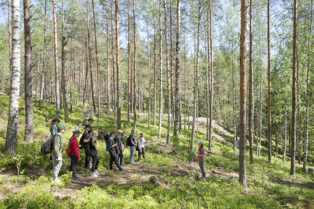 Tehtävänä on etsiä monimuotoisuuden merkkejä kasvatusmetsästä: kääpäisiä koivupökkelöitä ja muuta lahoavaa puuta maassa ja pystyssä, sekapuustoa, haapoja ja raitoja. Rastia veti Nina Rouhiainen Metsäteollisuus ry:stä.
