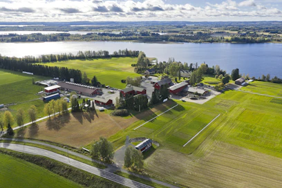 Uudet osaajat tarvitsevat kirjoittajan mukaan signaalin siitä, että maataloudessa on tulevaisuutta. (Kuvituskuva Luken Maaningan koetilalta)