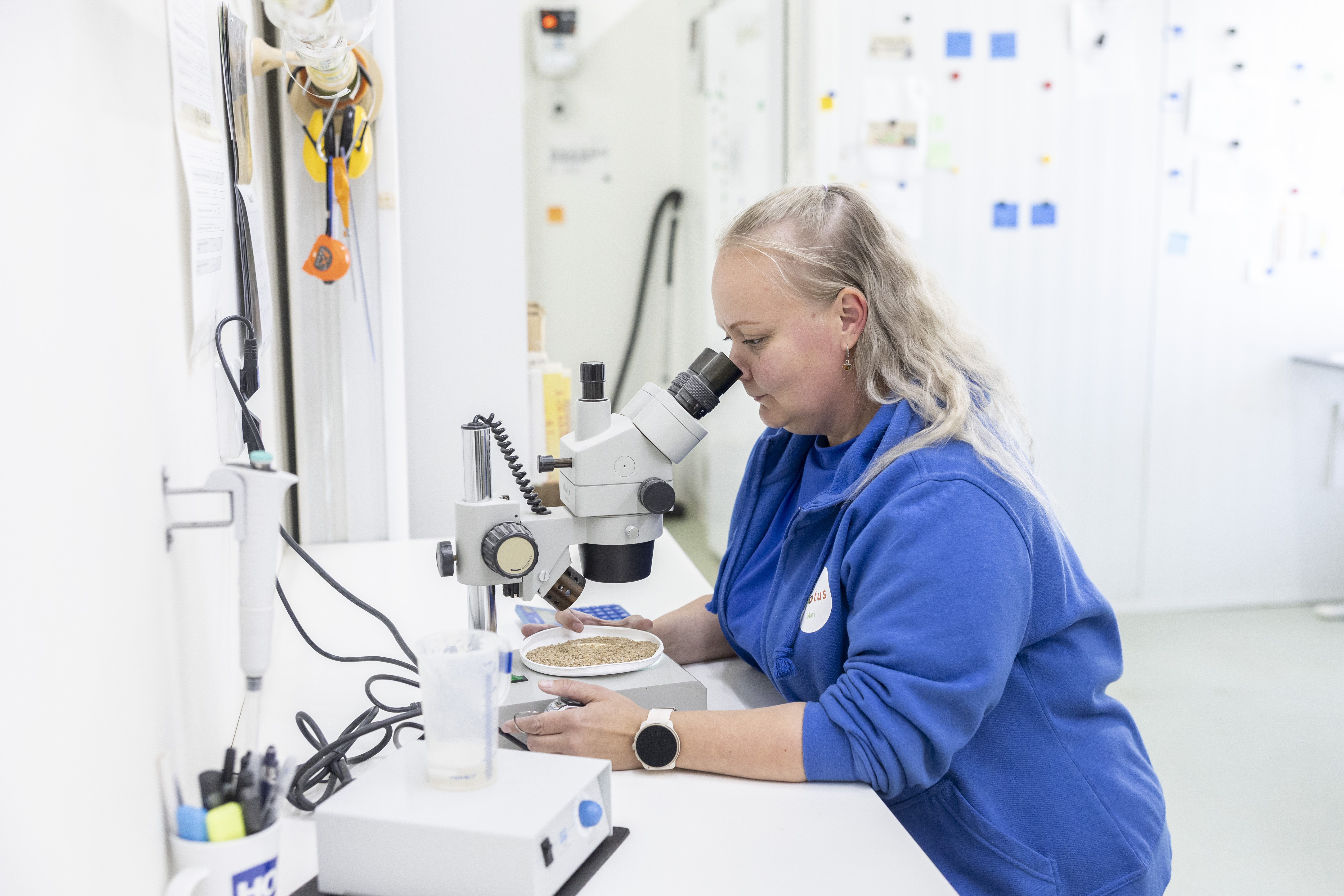 Mari Haake on Biotuksen ripsiäispetopunkkien kasvatukseen erikoistunut työntekijä.
