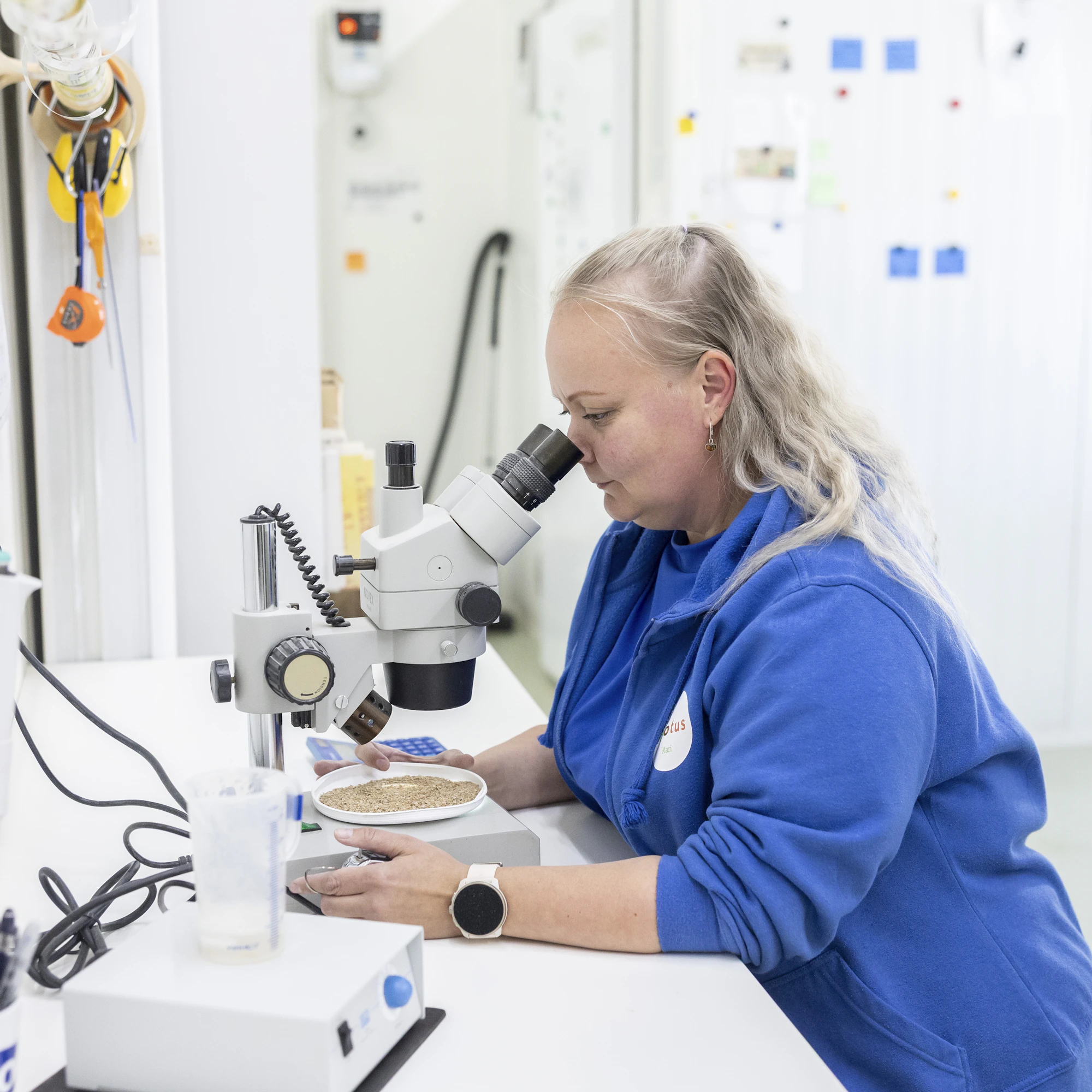 Mari Haake on Biotuksen ripsiäispetopunkkien kasvatukseen erikoistunut työntekijä.