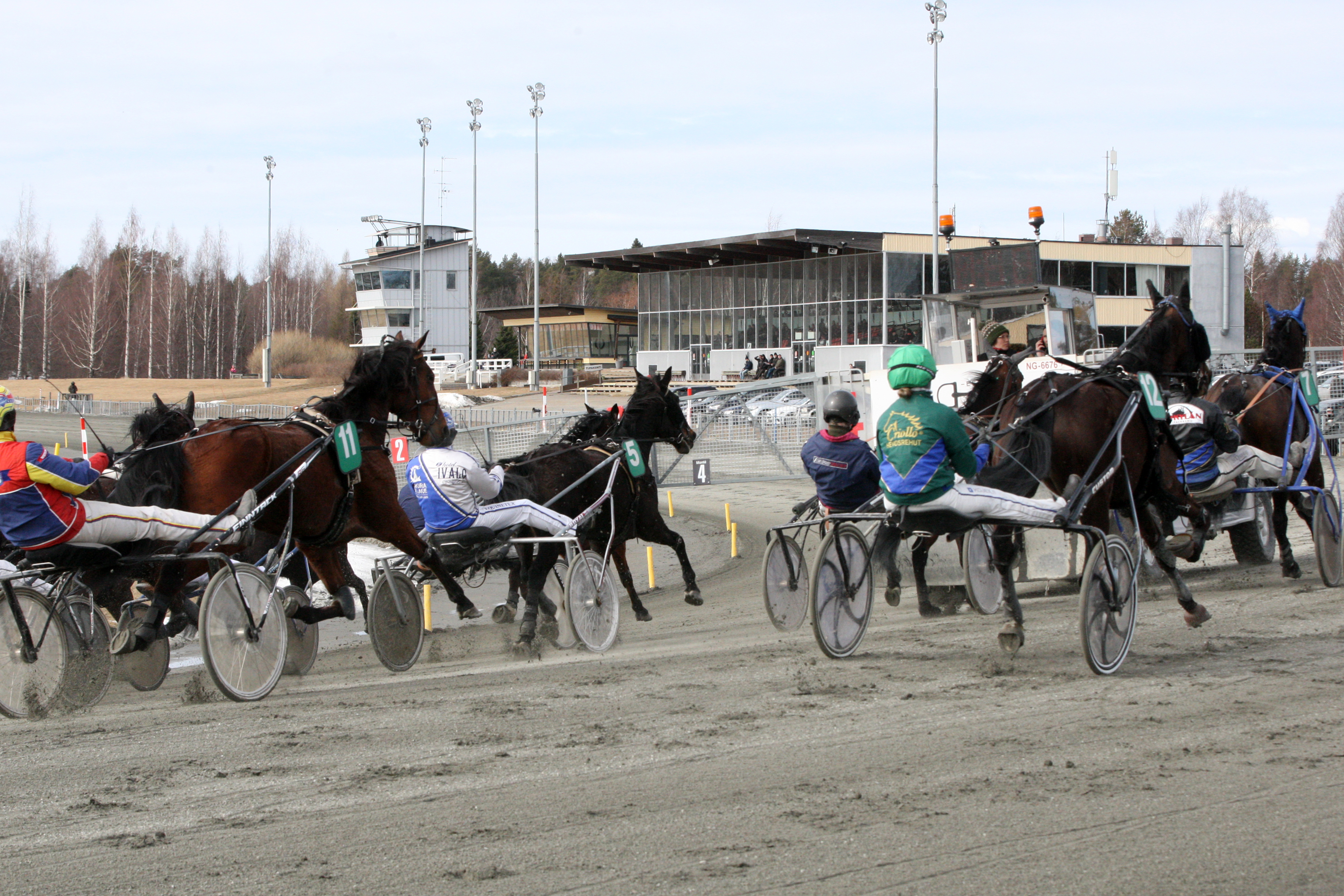 Etta Pakkanen pohtii kolumnissaan raviurheilun riskien tunnistamista ja vahinkojen välttämistä. Kuvituskuva.
