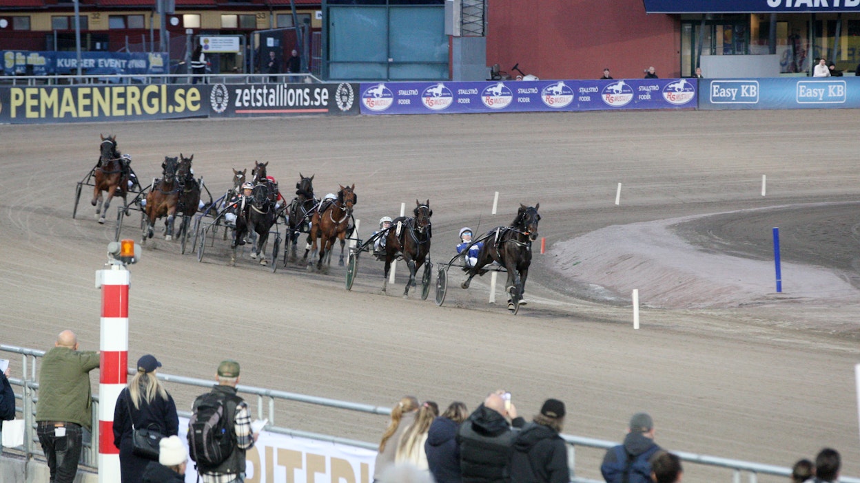 Ruotsalaistutkimuksessa tutkittiin ajovitsan eli piiskan käyttöä.