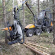 Nuoren metsän hoidon tukea saa vuodenvaihteen jälkeen hieman lyhyempään metsään kuin vielä nyt.