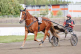 Sami Ikonen sai Viestinviejän valmennukseensa noin kolme vuotta sitten.