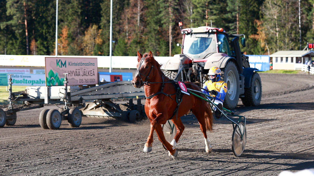 Etta Pakkanen kirjoittaa kolumnissaan raviratojen kunnosta kilpailupäivänä ravivalmentajan näkökulmasta.