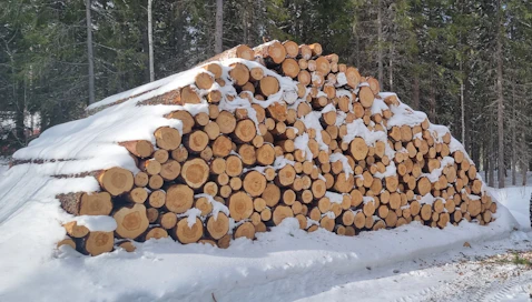 Suomen metsien uudistushakkuiden kaadettujen puiden keskiläpimitan laskemisesta on keskusteltu paljon, ja on vaadittu, että palautetaan edellisen metsälain minimiläpimittarajat.