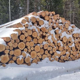 Suomen metsien uudistushakkuiden kaadettujen puiden keskiläpimitan laskemisesta on keskusteltu paljon, ja on vaadittu, että palautetaan edellisen metsälain minimiläpimittarajat.