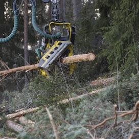 Metsäteollisuuden ja metsänomistajien keskeinen ongelma löytyy peilistä. Vaikuttaminen Brysselin ympäristöherännäisiin päättäjiin ja eurooppalaiseen mielipiteeseen on ollut valitettavan suomalaista.