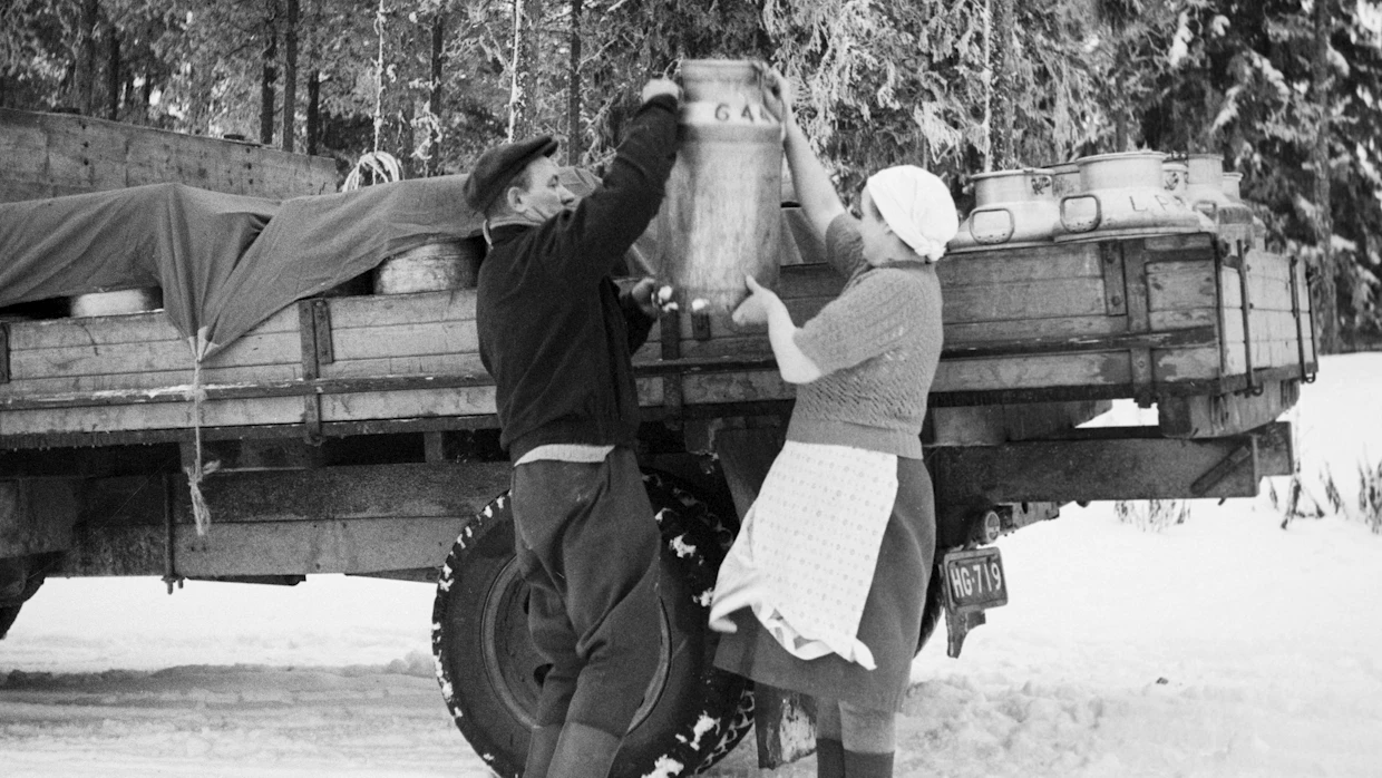 Elannon Läyliäisten Meijerin maitoautonkuljettaja Jussi Ravantti nostaa maitotonkkaa auton lavalle yhdessä puolisonsa Elsan kanssa vuonna1957.