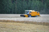 Kasvinviljelyn näkymät kehittyvät eri suuntaan kuin muiden tuotantosuuntien. Arkistokuva varsinaissuomalaiselta viljapellolta. 
