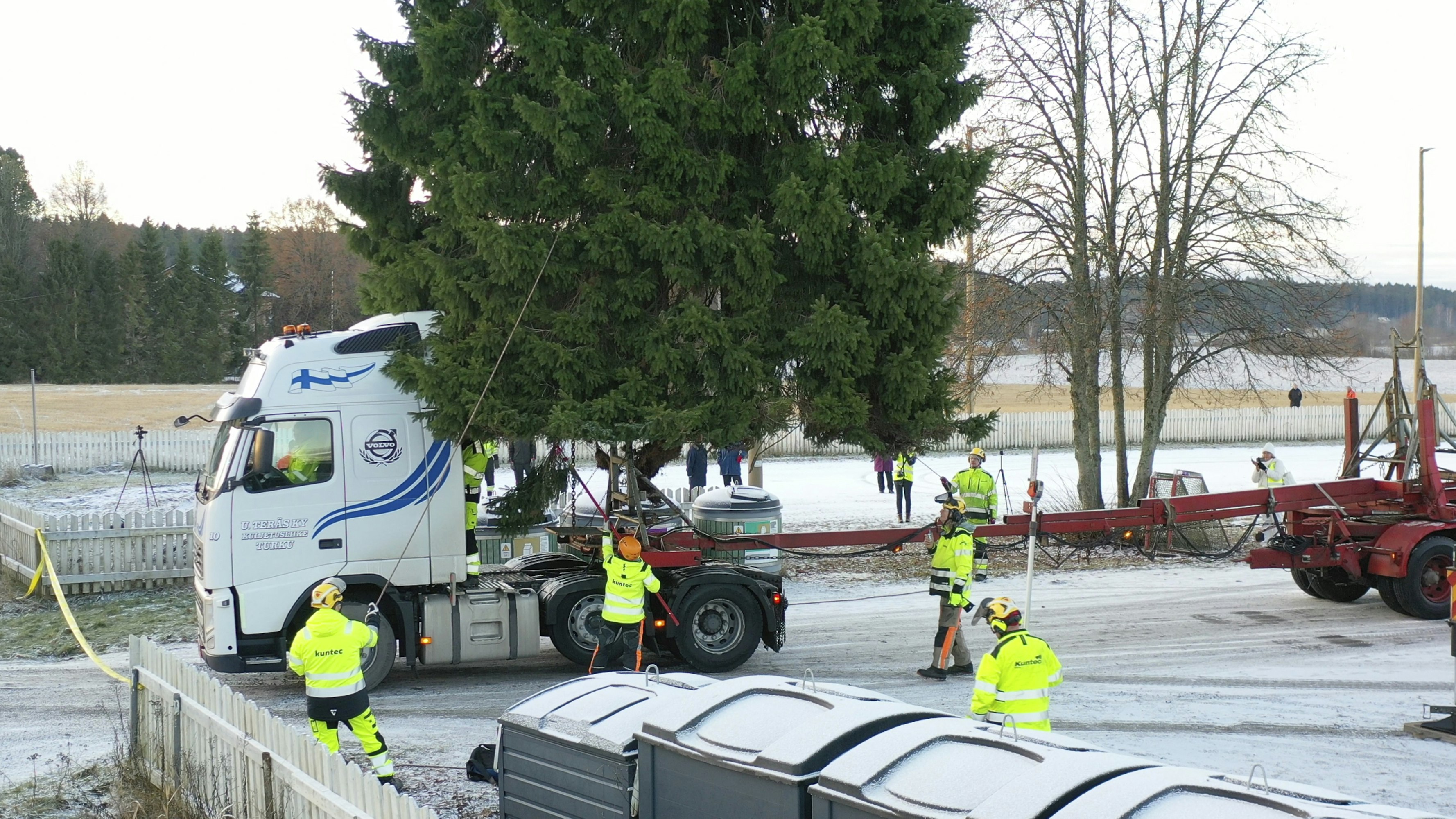 Kuusi laskeutuu kuljetusalustalle. Ensimmäisenä alustaan kiinnitetään kuusen tyvi.