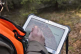 Metsänhoitoyhdistykset saavat metsänomistajilta kiitosta puukauppojen kilpailuttamisesta.