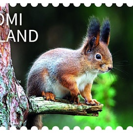 Orava kököttää oksalla Stiina Hovin suunnittelemassa postimerkissä.