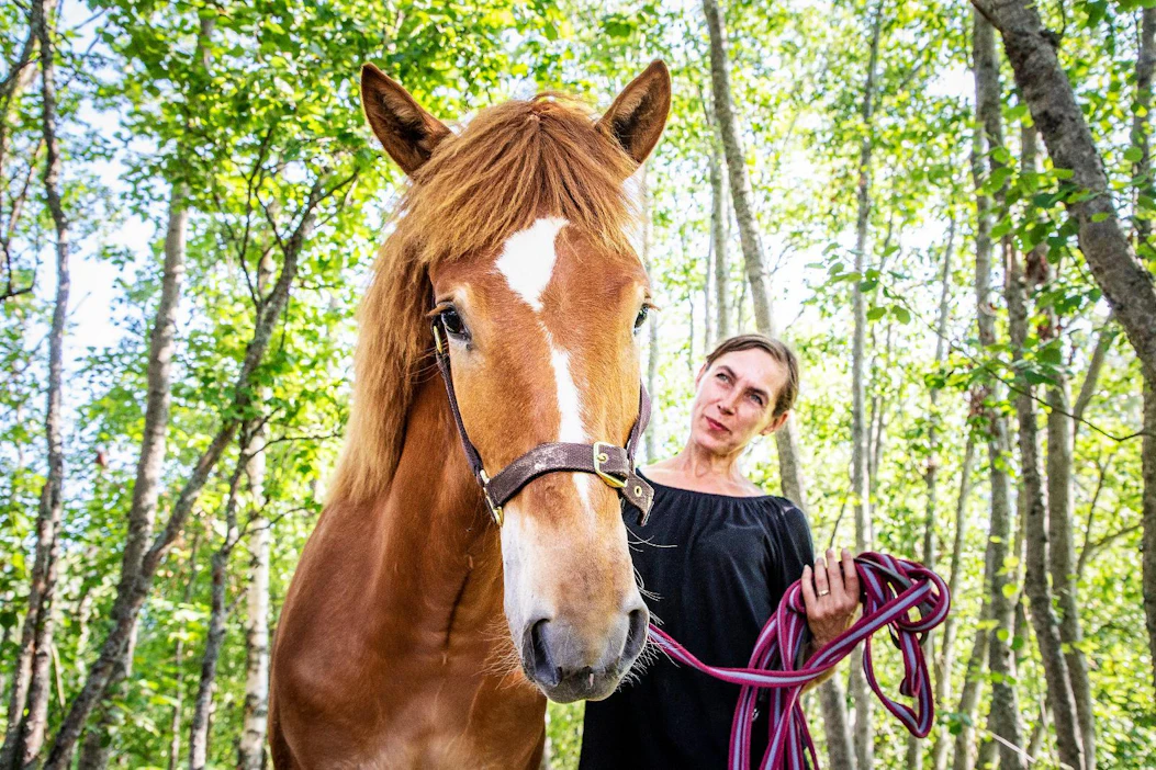 Suomenhevonen on yhä monimuotoinen rotu, mutta se on kokenut muutoksia matkalla vuosisadan taitteesta nykypäivään. Kuvassa biologi Karin Hemmann ja Elsa-varsa.