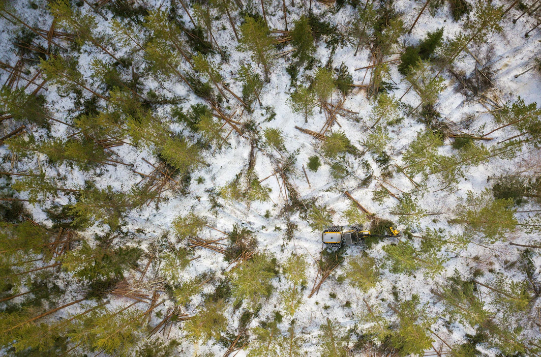 Kun uutta metsätietolakia valmisteltiin, monet olivat huolissaan tietosuojasta. Avoimen metsätiedon mukana ei luovuteta metsänomistajien nimi- tai yhteystietoja, tilanrajoja tai kiinteistötunnuksia.