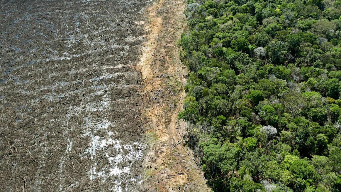 Metsää tuhottiin kahdentoista kuukauden aikana yhteensä yli 11 000 neliökilometriä.