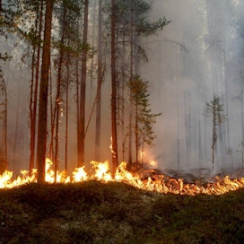 Ruotsin ennätyspaloissa tulessa on ollut yli 20 000 hehtaaria metsää.