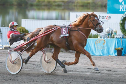 Vixelin lisäksi Tapio Perttusella on Joensuussa lupaavat saumat myös Might Be Romeon rattailla.