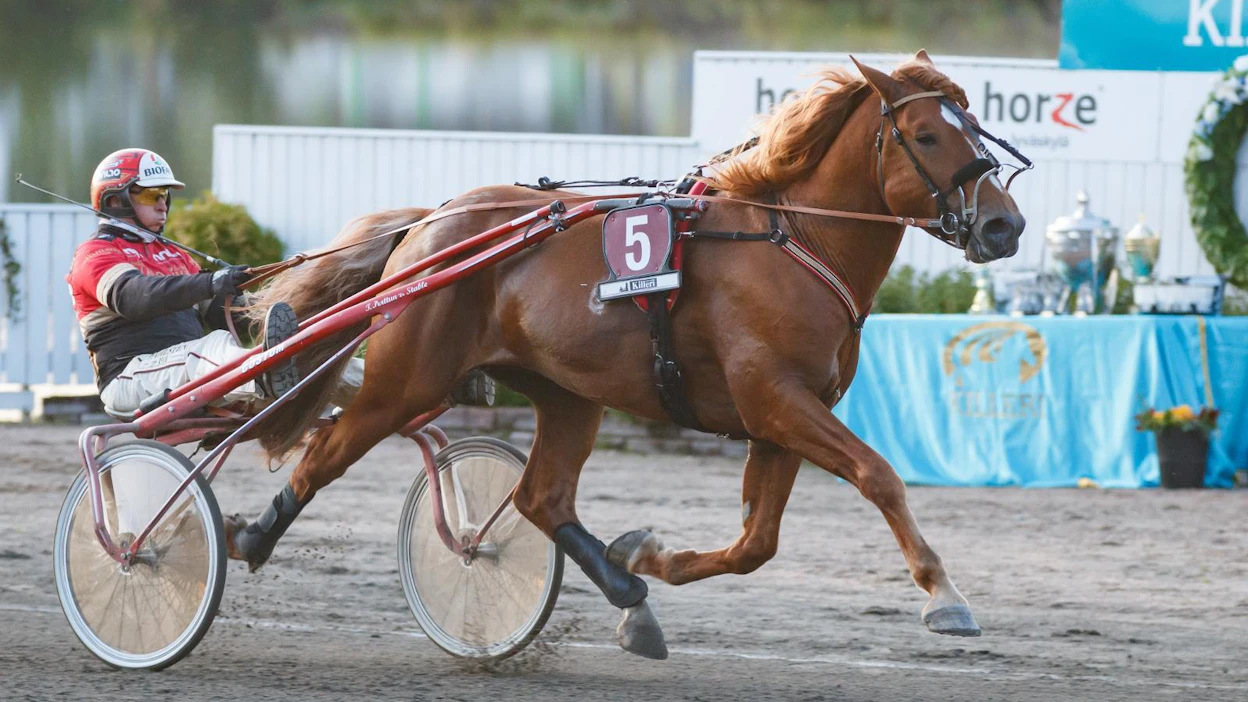 Vixelin lisäksi Tapio Perttusella on Joensuussa lupaavat saumat myös Might Be Romeon rattailla.