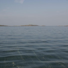 Itämeri kärsii kesäisin sinileväkukinnoista. Kuva Nauvon saaristosta.