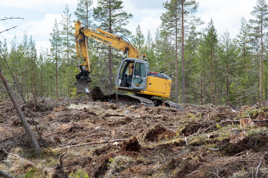 Syytääkö metsätalous maaperän hiiltä ilmakehään? Luke lyttää tutkijan  väitteet - MT Metsä - Maaseudun Tulevaisuus