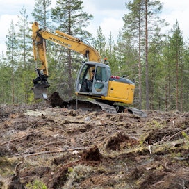 Luken tutkijoiden mukaan maanmuokkaus vähentää maaperän hiiltä, mutta se kertyy takaisin metsän kasvaessa. Itä-Suomen yliopiston dosentti Heikki Simolan mukaan näin ei tapahdu, vaan hiilimäärä ei palaudu.