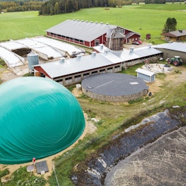 Valtimolle valmistui tänä vuonna yhden maatilan biokaasulaitteisto, Nurmon laitoksessa on mukana ainakin runsaat kymmenen tai useita kymmeniä maatiloja.