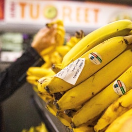 Myydyimmät yksittäiset luomutuotteet olivat viime vuonna banaani ja kananmuna.