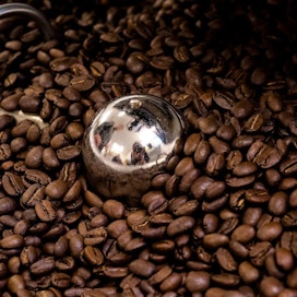 Kahviloissa käytettävistä kahvipavuista syntyy suuret määrät jätettä, joista voisi erotella öljyä.