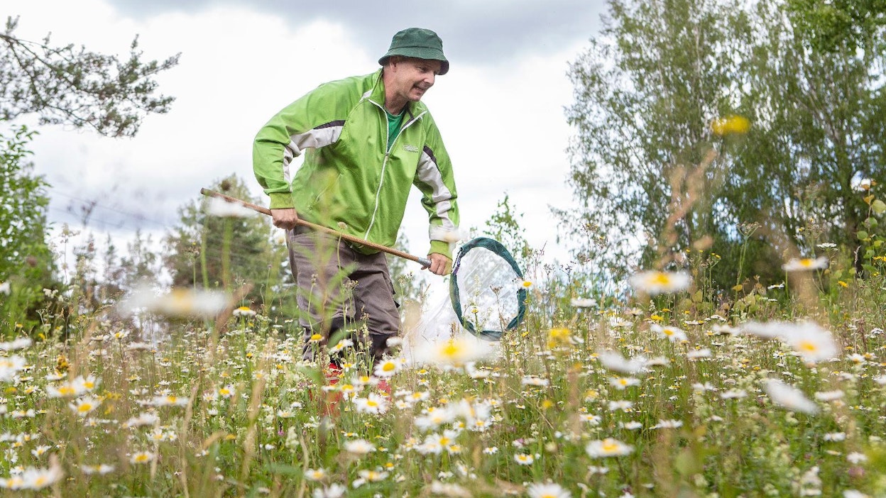 Kimmo Saarinen huomauttaa, että luonnon monimuotoisuudella on valtava merkitys ihmisen terveydelle. Mitä monimuotoisempi elinympäristö on, sitä varmemmin ihminenkin voi hyvin.