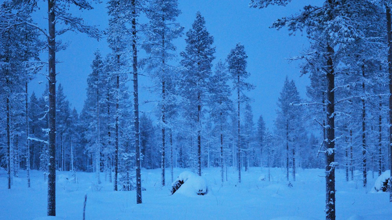 Kauniita maisemia, matkailua ja kasvava talous mutta miten on Lapin palveluiden laita?