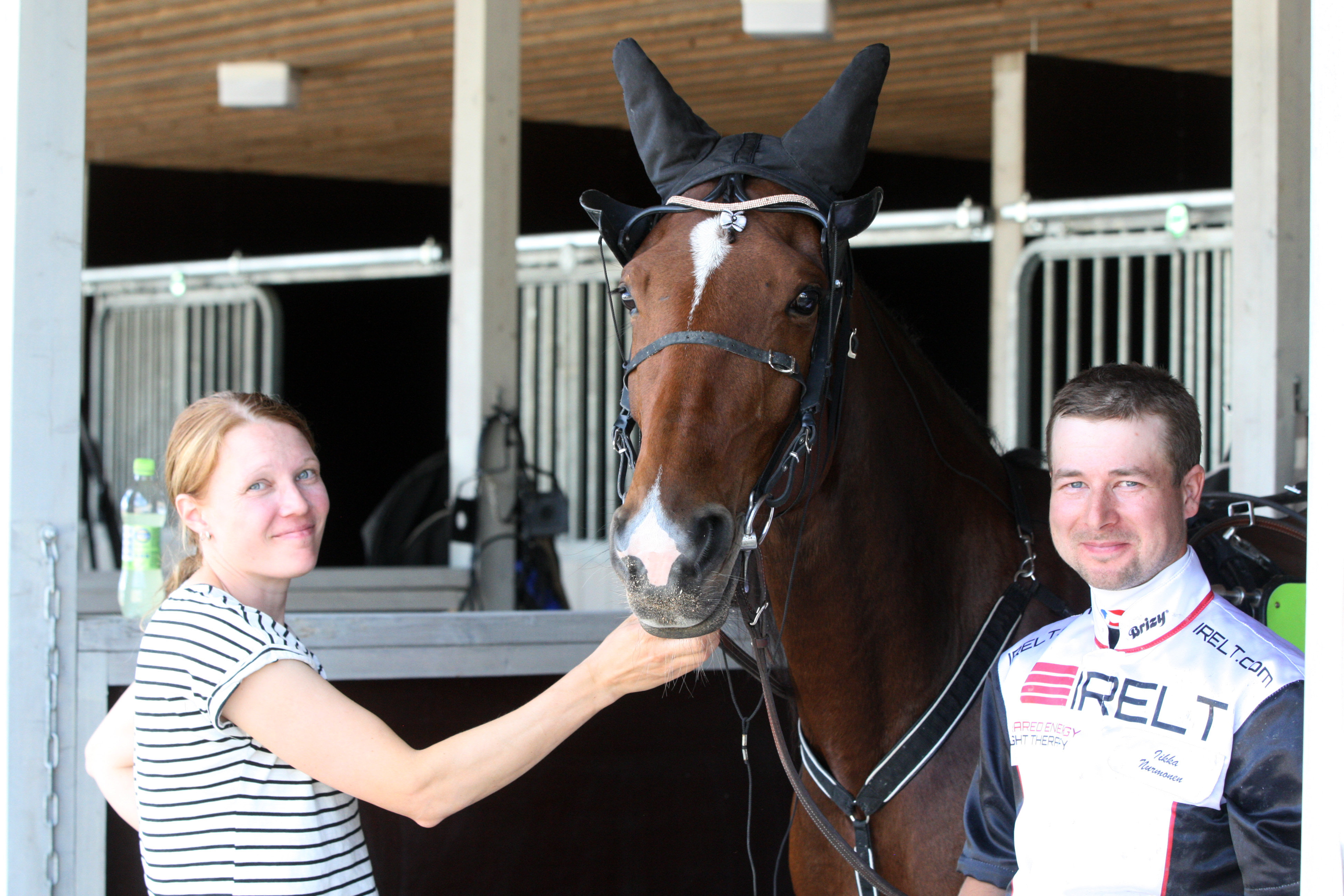 Jenni Tuokon hoitama ja Iikka Nurmosen valmentama Velvet Gold on yksi Tammavaltikan voitontavoittelijoista.